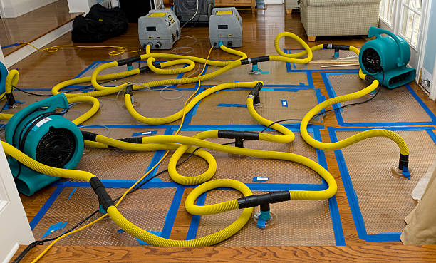 Professional Basement Flood Cleanup technician working in Camden, SC